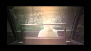 The Megaphonic Thirft - Moonstruck (Official Video)