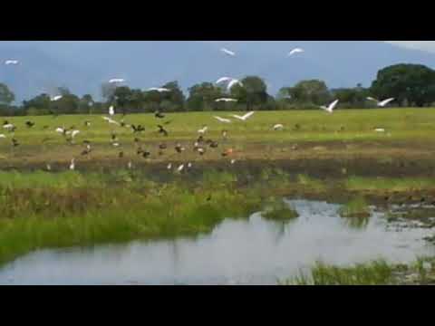 Un Sabroso Contrapunteo entre  Edgar Hernández y Jorge Guerrero