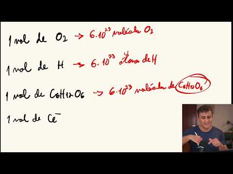 Tudo de Estequiometria para o ENEM 2026 (didática mágica + 100 questões)
