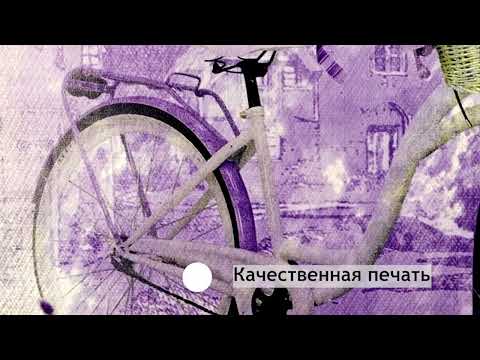 Миниатюра изображения товара Картина Декарт Ретро велосипед 8Л3809 (в раме)