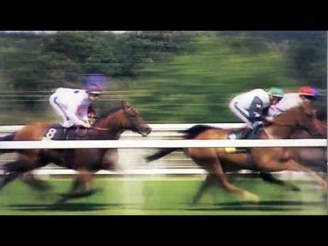 Champion Jockey : G1 Jockey & Gallop Racer Playstation 3