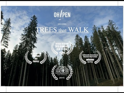 The sound of trees that walk, with Erri De Luca