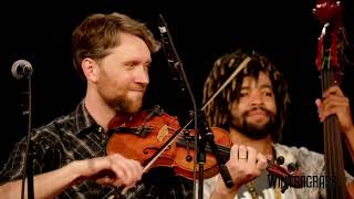 Ida Red - George Jackson with Mark Harris and Nelson Williams - Wintergrass 2022