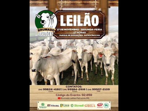 130°LEILÃO MISTO  - BRUMADO LEILÕES | PATROCÍNIO/MG - 17/11/2025