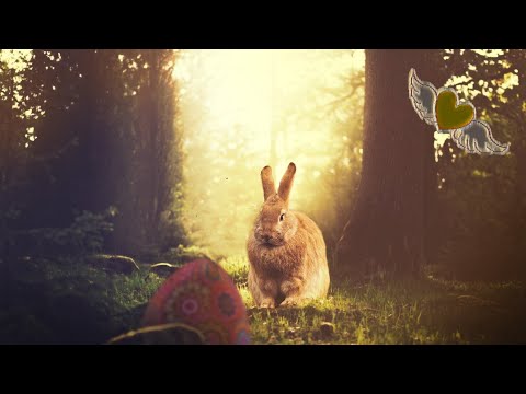 Ostergrüße 💛-liche Ostergrüße🐥🐰🌷🌼🌷🐰🐤 #Ostergrüße