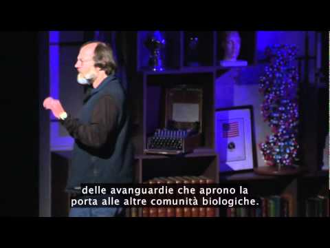 TEDItalia - Sei modi per salvare il mondo coi funghi: Paul Stamets