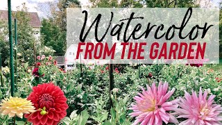Live from My Parent’s Garden-Watercolor Dahlias