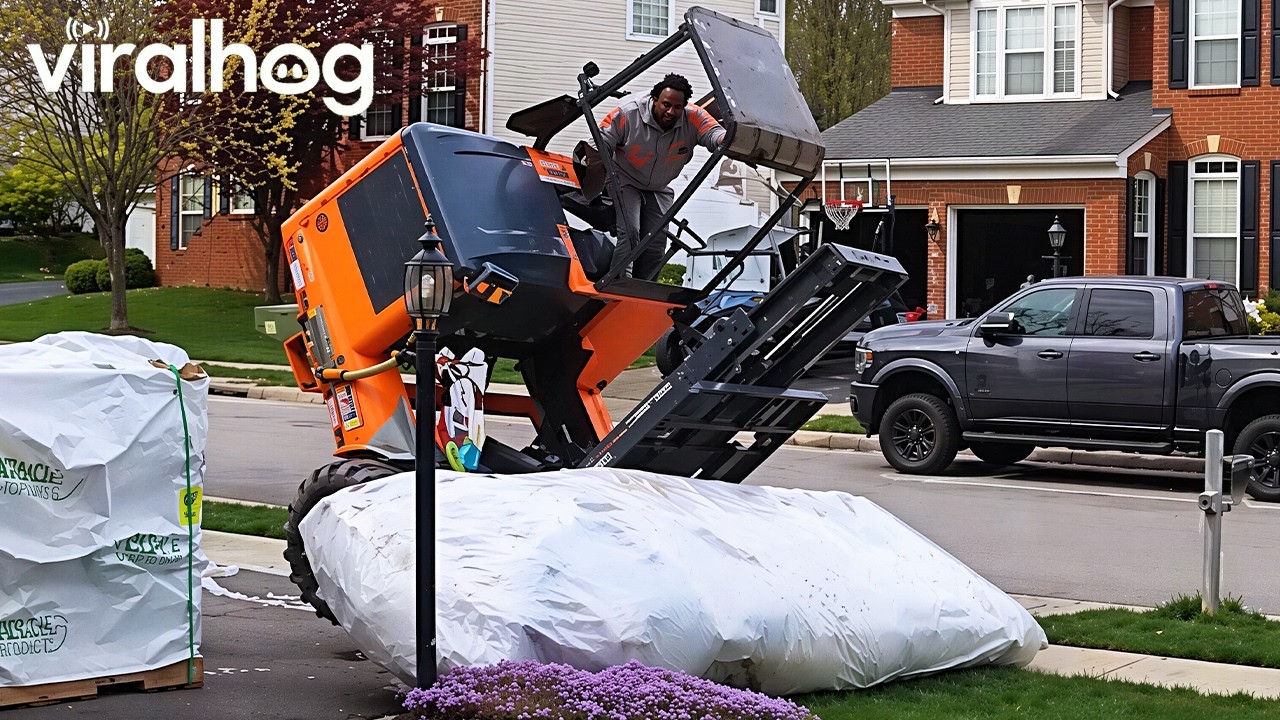 Just a Normal Day… Until It Wasn’t 🤣 Funny Security Camera Videos || ViralHog