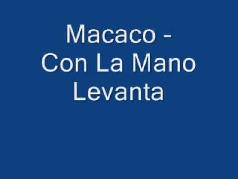 macaco - con la mano levanta.wmv