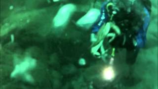 preview picture of video 'Scuba diving - Crab hunting (Norwegian monster crab)'