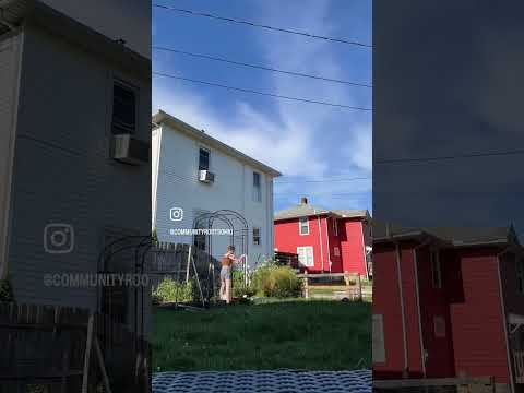 Cuckoo For Cuckamelons!