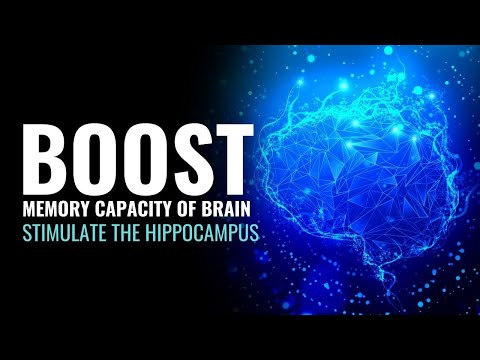 Stimulate The Hippocampus | Prevent Dementia | Boost Memory Capacity Of Brain | Cognitive Enhancer