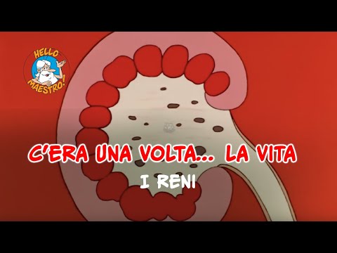 Siamo fatti così... la vita 🌱- Reni ⛑️