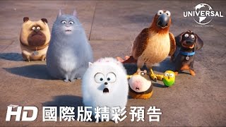 【寵物當家】最新預告-6月29日 歡樂登場