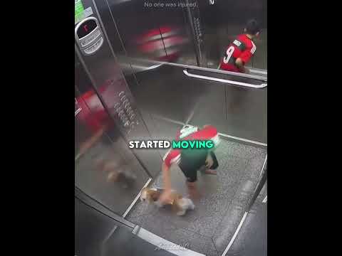 This Boy Became a Hero for His Dog 🐶🦸❤️