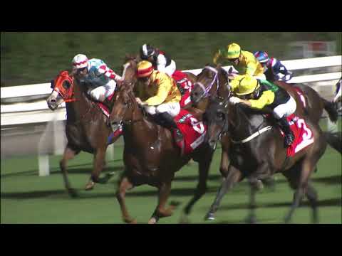 8/9/2021 (17) Resolute - J Moreira