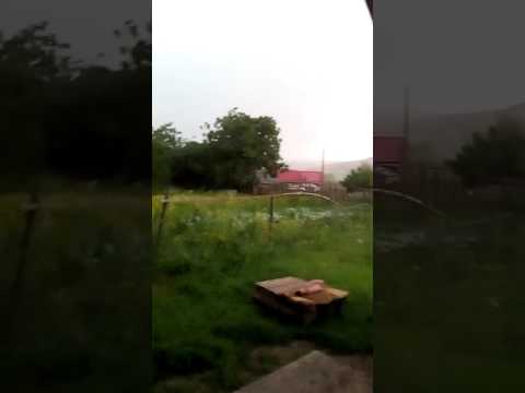 Vijelii la dimacheni