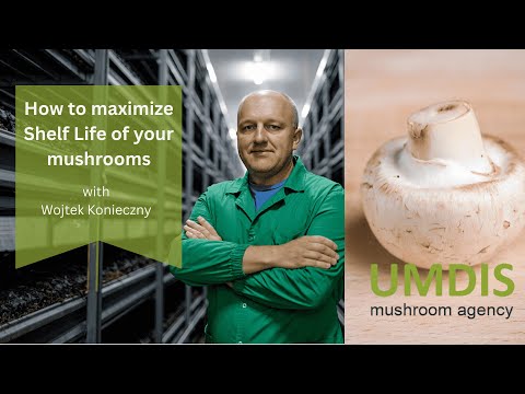 How to Maximize Shelf Life of Mushrooms | Expert Wojtek Konieczny