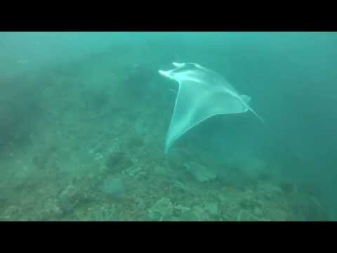 Ningaloo Reef - WA