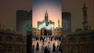 QURAN SURAH IBRAHIM AYAT 01-08URDU TRANSLATION #love#quranrecitation #quranforever#motivation