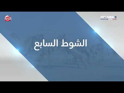 ملخص السباق ، تأهيلي المرموم 2026/10/18 حول وزمول