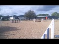 Tinarana Inspector 5 Year Old