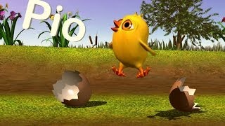 El pollito Pío 3D - Cantan Los Pollitos