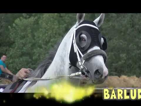 DOSTIHY  SMUTNY KONIEC  = YUKONA =  CACOV 2018