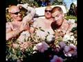 Sublime - '89 Vision