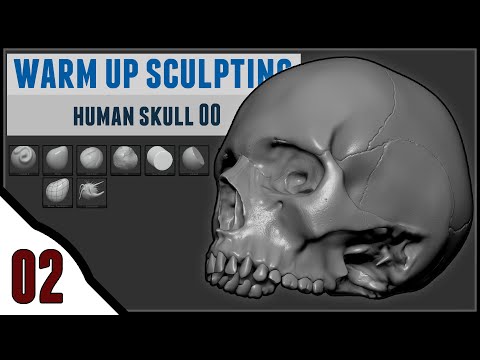 Human Skull - WARM UP SCULPTING 02 | ZBrush