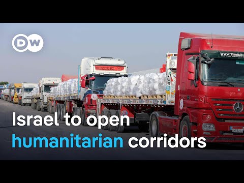 以色列允許更多援助物資進入加沙，但仍有飢餓報告 | DW News (Israel allows more aid into Gaza amid reports of starvation | DW News)