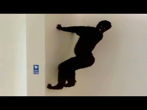 you laugh, you win