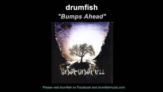 DRUMFISH: "Bumps Ahead"  (Audio Only)