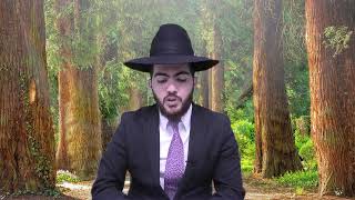 אלו רחובות שאינם 8 מטר ודינם כמו רשות הרבים | הרב יצחק מאזוז | סימן שמה ח-ט (מוסדות כיסא רחמים) - התמונה מוצגת ישירות מתוך אתר האינטרנט יוטיוב. זכויות היוצרים בתמונה שייכות ליוצרה. קישור קרדיט למקור התוכן נמצא בתוך דף הסרטון