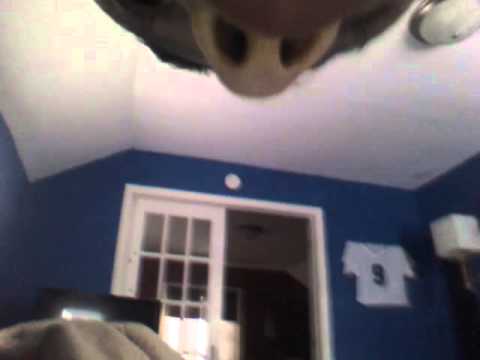 Monster Racers getting to the 5th of the star 7