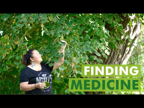 10+ Medicines in One City Park video thumbnail