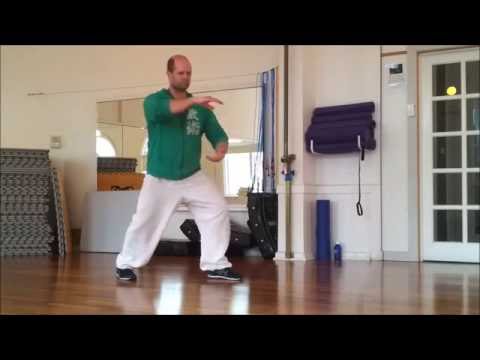 Tai Chi 13 Forms (Yang Style/Family Taijiquan)
