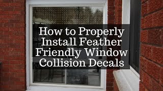 How to Install Window Collision Decals for Birds