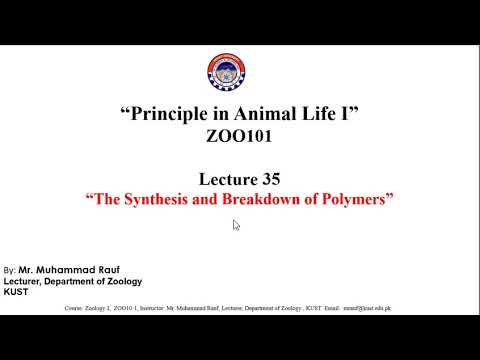 Course: Principle in Animal Life- I. Lecture 35:The Synthesis and Breakdown of Polymers