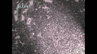 Eyeless In Gaza - Silver