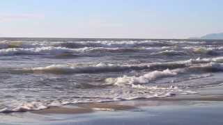 Sea shore - Video and Sound of the sea