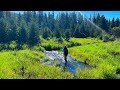 Video Thumbnail for I Discovered A Hidden World Full Of Brook Trout
