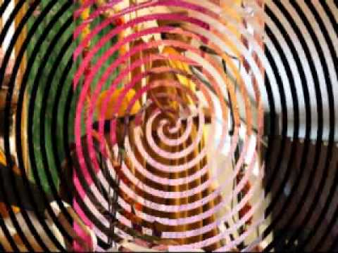 Sage Darbare Meera Abdul Raheem Asr's 21st Birthday 2011