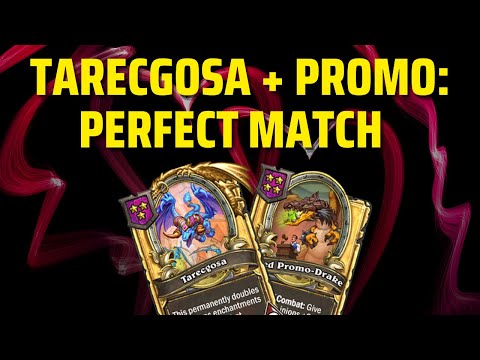 Tarecgosa + Promo: Perfect Match | Hearthstone Battlegrounds Gameplay | Patch 21.3 | bofur_hs