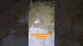 Download lagu sumber aer su dekat, sound viral..#soundviral #trending mp3 Download lagu sumber aer su dekat, sound viral..#soundviral #trending mp3