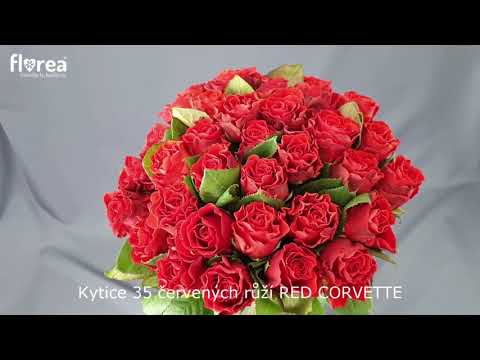 Kytice 35 červených růží RED CORVETTE