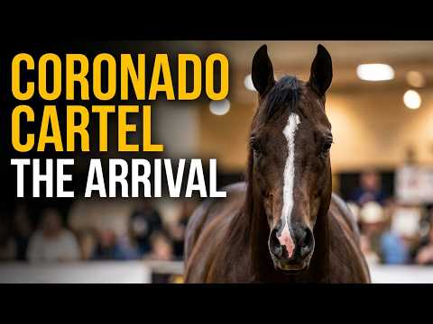 Brazil Celebrates the Arrival of Coronado Cartel