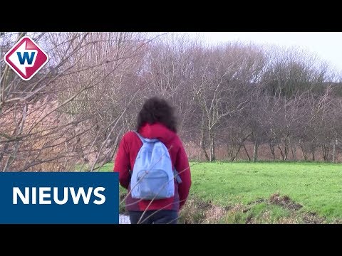 Romeinse Limespad is de mooiste wandelroute in de Benelux - OMROEP WEST