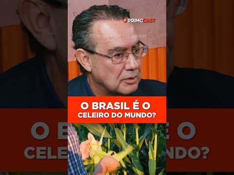A VERDADE SOBRE A FOME E O BRASIL