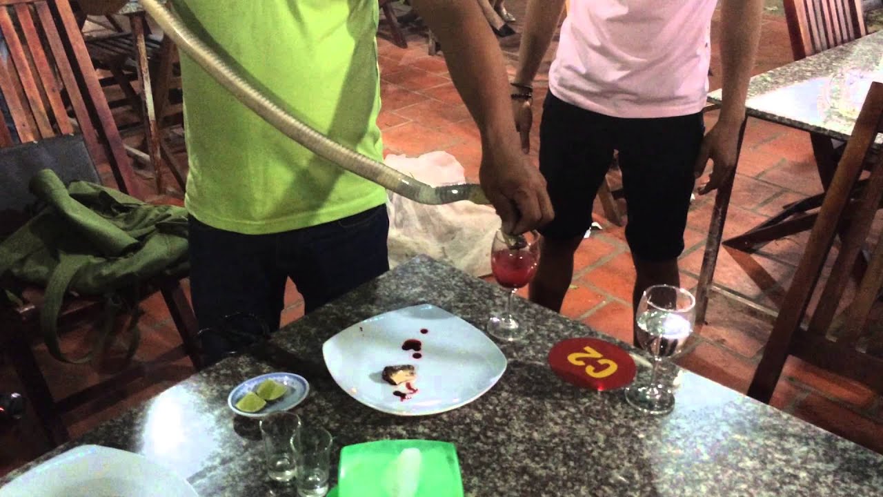 Watch video We ordered 'snake' in a restaurant in Vietnam Now We ordered 'snake' in a restaurant in Vietnam